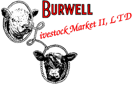 Burwell Livestock Market, II LTD